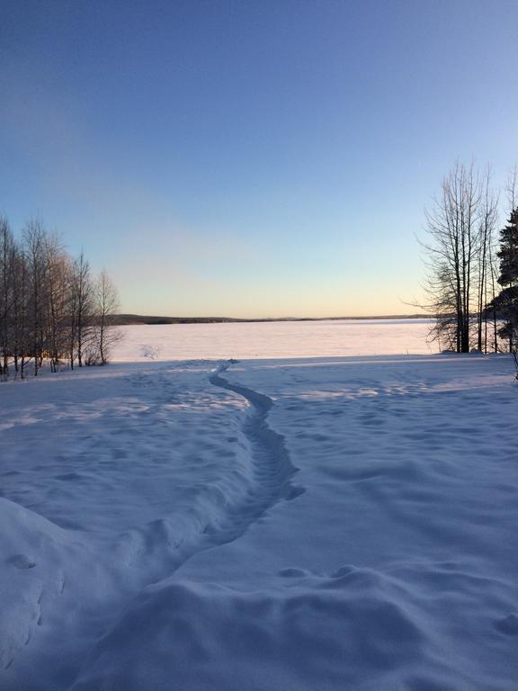 阿霍森罗曼莫吉特度假屋 Vikajärvi 外观 照片
